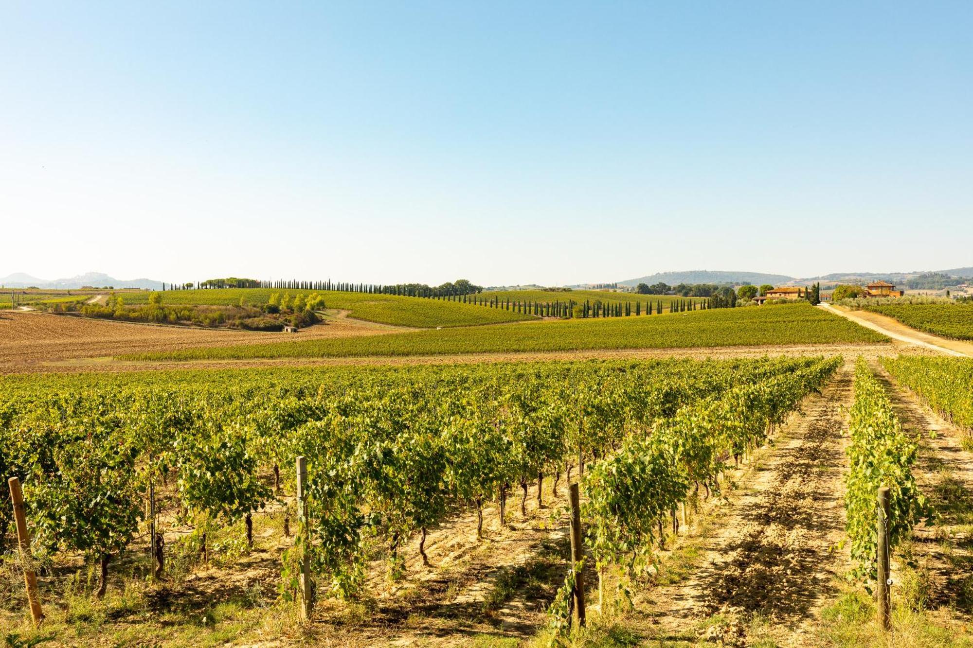 Vermentino Villa Montepulciano Stazione Exterior foto