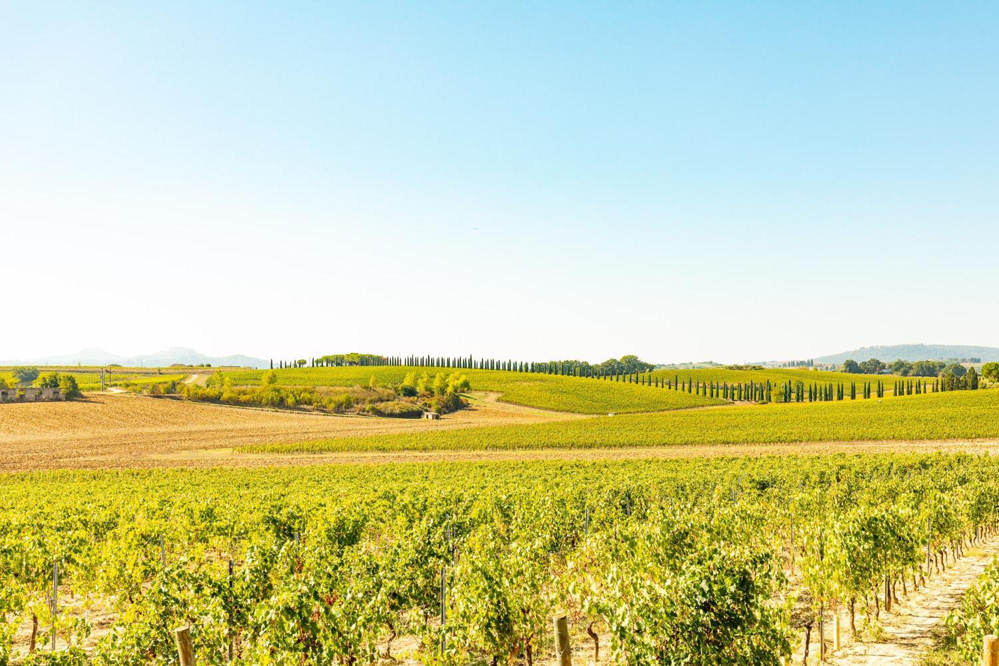 Vermentino Villa Montepulciano Stazione Exterior foto