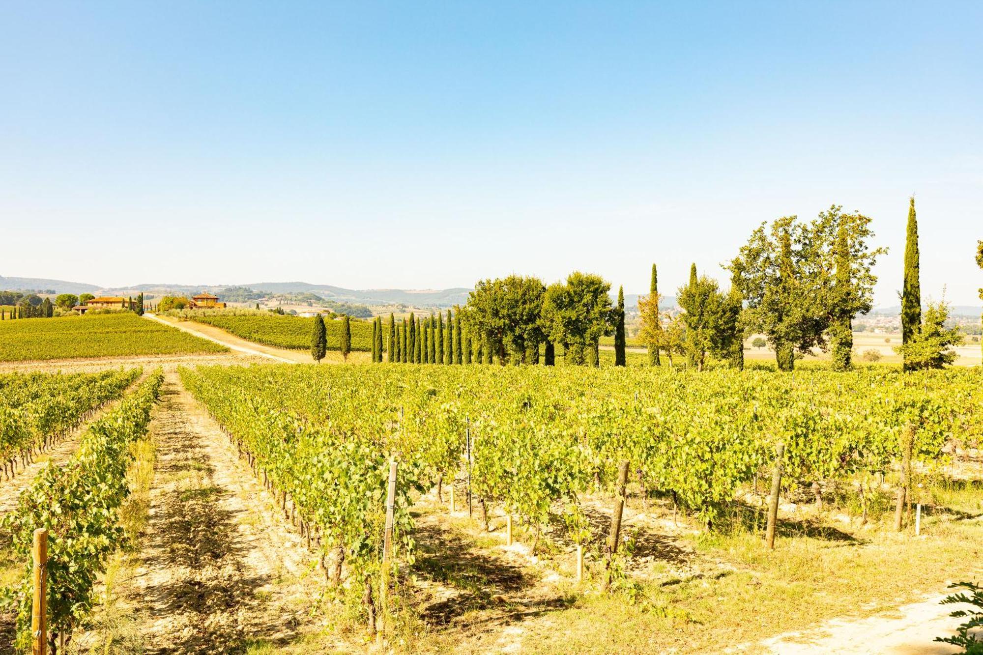 Vermentino Villa Montepulciano Stazione Exterior foto